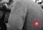 Image of Baby John Fitzgerald Kennedy Junior Washington DC USA, 1960, second 14 stock footage video 65675055680