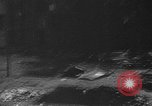 Image of insurrection Algeria, 1961, second 62 stock footage video 65675055694