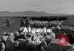 Standbild französische Truppe Algerien, 1954, aus Sekunde 4 historischem Filmmaterial Videoclip 65675055707