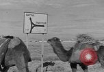 Standbild französische Truppe Algerien, 1954, aus Sekunde 5 historischem Filmmaterial Videoclip 65675055707