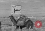 Standbild französische Truppe Algerien, 1954, aus Sekunde 6 historischem Filmmaterial Videoclip 65675055707