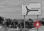 Standbild französische Truppe Algerien, 1954, aus Sekunde 7 historischem Filmmaterial Videoclip 65675055707