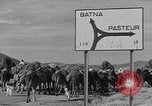 Standbild französische Truppe Algerien, 1954, aus Sekunde 8 historischem Filmmaterial Videoclip 65675055707