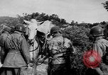 Standbild französische Truppe Algerien, 1954, aus Sekunde 27 historischem Filmmaterial Videoclip 65675055707
