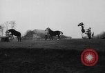 Standbild Mädchen Holland Niederlande, 1954, aus Sekunde 5 historischem Filmmaterial Videoclip 65675055708