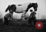 Standbild Mädchen Holland Niederlande, 1954, aus Sekunde 12 historischem Filmmaterial Videoclip 65675055708