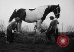 Standbild Mädchen Holland Niederlande, 1954, aus Sekunde 13 historischem Filmmaterial Videoclip 65675055708