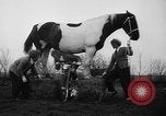 Standbild Mädchen Holland Niederlande, 1954, aus Sekunde 15 historischem Filmmaterial Videoclip 65675055708