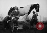 Standbild Mädchen Holland Niederlande, 1954, aus Sekunde 16 historischem Filmmaterial Videoclip 65675055708