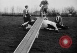 Standbild Mädchen Holland Niederlande, 1954, aus Sekunde 19 historischem Filmmaterial Videoclip 65675055708