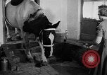 Standbild Mädchen Holland Niederlande, 1954, aus Sekunde 23 historischem Filmmaterial Videoclip 65675055708