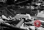 Immagine di 1955 flood devastazione nel nordest degli Stati Uniti United States USA, 1955, secondo 33 filmato di repertorio 65675055709