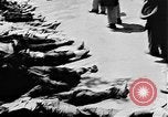 Immagine di Diffusione della ribellione Il Nord Africa, 1955, secondo 48 filmato di repertorio 65675055710