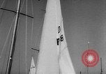 Immagine di International gara di dragon boat Holland Olanda, 1955, secondo 8 filmato di repertorio 65675055715