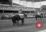Image of Preakness Stakes Baltimore Maryland USA, 1956, second 11 stock footage video 65675055720