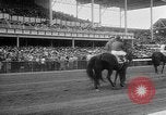 Image of Preakness Stakes Baltimore Maryland USA, 1956, second 12 stock footage video 65675055720