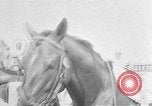 Image of Camden Stakes Camden New Jersey USA, 1956, second 3 stock footage video 65675055721