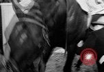 Image of Camden Stakes Camden New Jersey USA, 1956, second 4 stock footage video 65675055721
