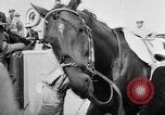 Image of Camden Stakes Camden New Jersey USA, 1956, second 5 stock footage video 65675055721