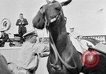 Image of Camden Stakes Camden New Jersey USA, 1956, second 6 stock footage video 65675055721