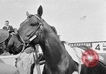 Image of Camden Stakes Camden New Jersey USA, 1956, second 7 stock footage video 65675055721