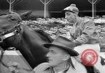 Image of Camden Stakes Camden New Jersey USA, 1956, second 19 stock footage video 65675055721