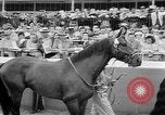 Image of Camden Stakes Camden New Jersey USA, 1956, second 45 stock footage video 65675055721