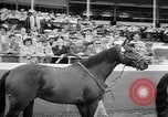 Image of Camden Stakes Camden New Jersey USA, 1956, second 47 stock footage video 65675055721