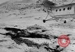 Image of Helicopters aid Algeria, 1957, second 25 stock footage video 65675055725