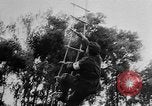 Image of Helicopters aid Algeria, 1957, second 33 stock footage video 65675055725