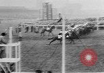Image of Grand National Steeplechase United Kingdom, 1957, second 15 stock footage video 65675055727