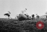 Image of Grand National Steeplechase United Kingdom, 1957, second 52 stock footage video 65675055727