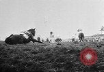 Image of Grand National Steeplechase United Kingdom, 1957, second 54 stock footage video 65675055727