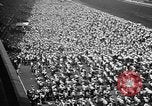 Standbild Belmont Stakes New York United States USA, 1957, aus Sekunde 6 historischem Filmmaterial Videoclip 65675055732