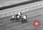 Standbild Belmont Stakes New York United States USA, 1957, aus Sekunde 27 historischem Filmmaterial Videoclip 65675055732