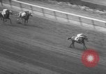 Standbild Belmont Stakes New York United States USA, 1957, aus Sekunde 59 historischem Filmmaterial Videoclip 65675055732