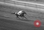 Standbild Belmont Stakes New York United States USA, 1957, aus Sekunde 62 historischem Filmmaterial Videoclip 65675055732