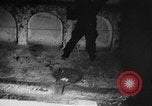 Image of French patrols Algeria, 1957, second 27 stock footage video 65675055736