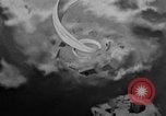 Image of Painter Trevisan Rome Italy, 1957, second 38 stock footage video 65675055737