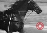 Standbild Hambletonian Du Quoin Illinois USA, 1957, aus Sekunde 27 historischem Filmmaterial Videoclip 65675055740