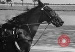 Standbild Hambletonian Du Quoin Illinois USA, 1957, aus Sekunde 28 historischem Filmmaterial Videoclip 65675055740