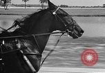 Standbild Hambletonian Du Quoin Illinois USA, 1957, aus Sekunde 29 historischem Filmmaterial Videoclip 65675055740
