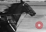 Standbild Hambletonian Du Quoin Illinois USA, 1957, aus Sekunde 30 historischem Filmmaterial Videoclip 65675055740