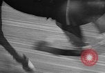 Standbild Hambletonian Du Quoin Illinois USA, 1957, aus Sekunde 36 historischem Filmmaterial Videoclip 65675055740