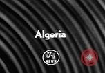 Image of Camel Corps Algeria, 1957, second 5 stock footage video 65675055742