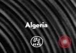 Image of Camel Corps Algeria, 1957, second 6 stock footage video 65675055742