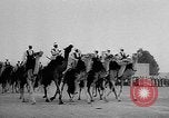 Image of Camel Corps Algeria, 1957, second 7 stock footage video 65675055742