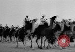 Image of Camel Corps Algeria, 1957, second 8 stock footage video 65675055742