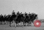 Image of Camel Corps Algeria, 1957, second 10 stock footage video 65675055742