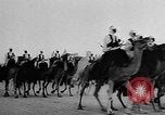 Image of Camel Corps Algeria, 1957, second 11 stock footage video 65675055742